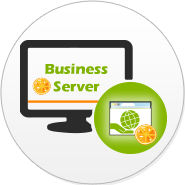 Business Webserver
