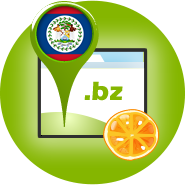 .bz Domainservice