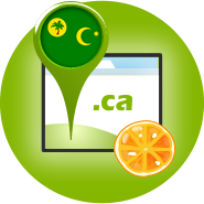 .cc Domainservice .cc Domainservice