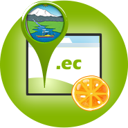 .ec Domainservice